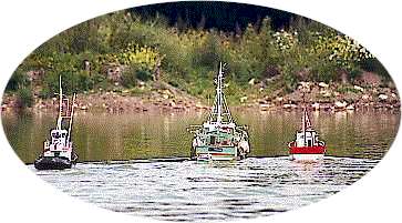 bateau_groupe2.jpg (19312 octets)